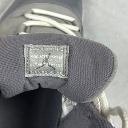 Jordan 11 Cool Grey (46)